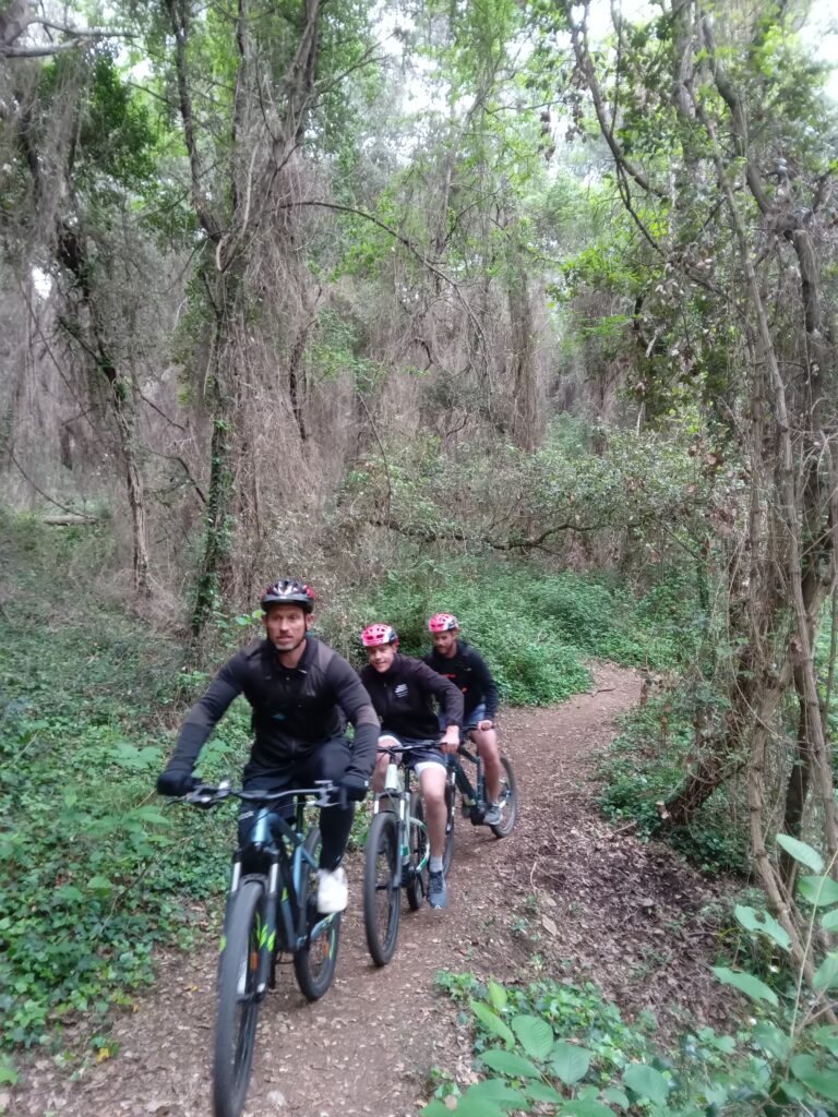 location vtt electrique mougins alpes maritimes newrider