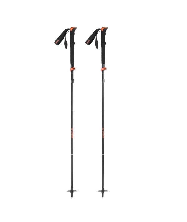 union expedition touring poles batons splitboard